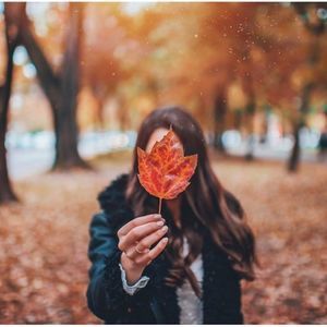 Meet your Posher, Olla